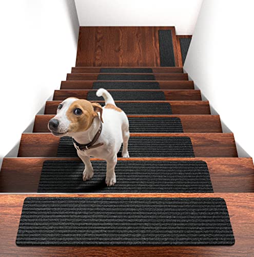 Tansciossa green лента за скали 4 x 24 Транспарентни анти -лизгачки ленти скалила за влечење на кучиња за влечење на кучиња,
