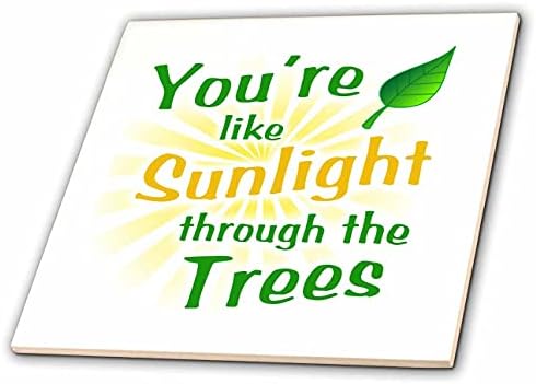3дроза Слика На Зборови Вие Сте Како Сончева Светлина Низ Дрвјата-Плочки