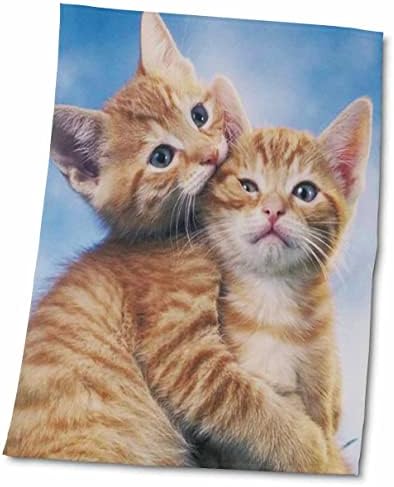 3drose Florene Cats - Loveубов со маче - крпи