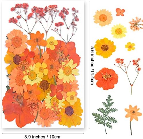 110 парчиња смола сушени цвеќиња, младински вистински природни суви цвеќиња со пинцети за DIY накит занаетчиски цвеќиња од домашни декори портокалово