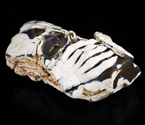 Skullis Origianl 11,5 Орка Агат врежан кристален череп, заздравување на кристал.