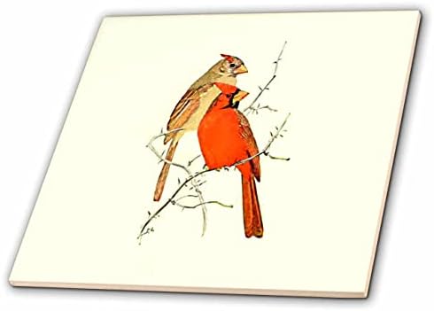 3дроза Гроздобер Птица Печати Црвени Кардинали машки и женски илустрација уметност-Плочки