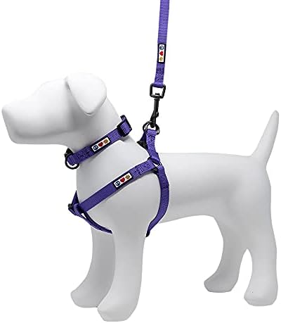 Поставен пакет за вредности на Pawtitas | Дополнителен мал чекор во прицврстувачот на кучиња + Екстра мала јака за кучиња + Екстра Мал Мал Леак од 6ft кучиња - Виолетова се?
