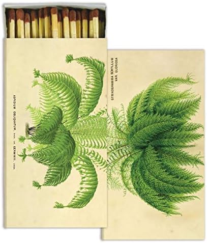 МОЈОТ ЛУТ ДОМ Антички Стил Ботанички Папрат Растенијата Натпревари | Постави 10 Графички Хартија Долг Камин
