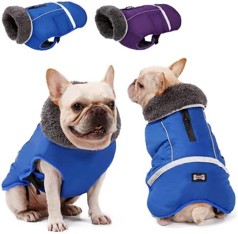 Зимски маички за џокери, палто за сушење бањарка за кучиња, пижами со меки пуловер, елек за ладење, водоотпорен мантил, кучиња јакна за кучиња, за мали средни големи ?