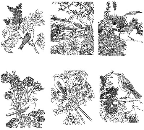 Книга за боење на возрасни убави птици и цвеќиња флонз гроздобер дизајни
