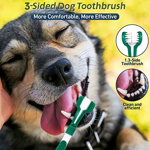 Хавит ултразвучен скалер за заби за кучиња, 5 режими за чистење кучиња плакета и отстранувач