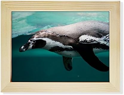 DiyThinker морски организам кит животински слика десктоп фото рамка слика уметност декорација слика 6x8 инчи