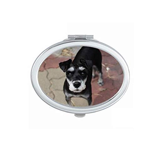Црно кучиња миленичиња животни симпатична слика огледало преносно преклопено рачно шминка двојни странични очила