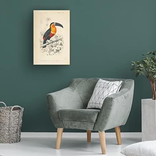 Трговска марка ликовна уметност 'Toucan du para' Canvas Art by Wild Apple Portfolio 16x24