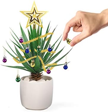 Подарок Република Празнични растенија Божиќни украси, мулти