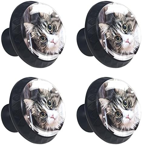 Kraido млади симпатични мачки шема на фиоки за рачки 4 парчиња тркалезно копче за кабинет со завртки погодни за домашна бања бања