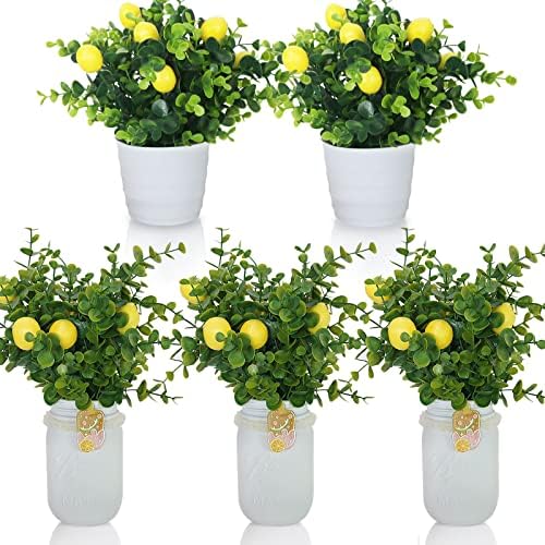 СЕМОНОНИЈА Лажни Лимон Растенија со Саксии &засилувач; Лимон Мејсон Тегла Декор Центри