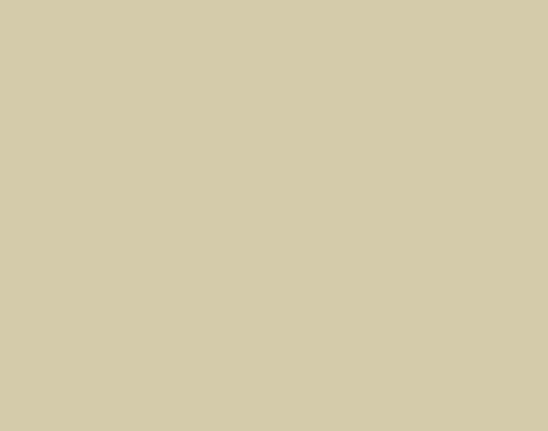 Крафт Алатка CH320 Боја Зацврстувач, Златен Песочник