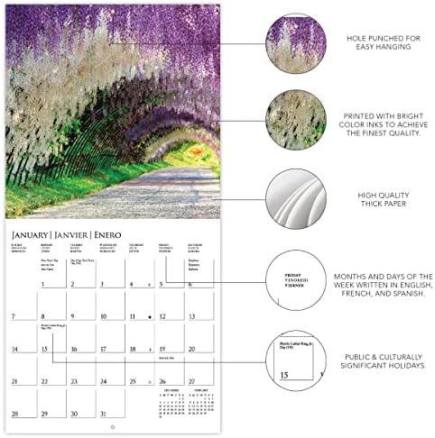 Графика 2024 Во Градината Мини Ѕид Календар | 7 х 7 | Дебела Хартија | Насловна &засилувач; Организатор На Канцеларија | Голема