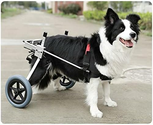 Јакана Лесна Инвалидска Количка За Кучиња За Рехабилитација На Задните Нозе 2 Тркала Инвалидска Количка За Кучиња Прилагодлива Подвижност На Миленичиња