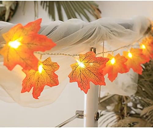 Денот на благодарноста Декорации Осветли есен венец јавор остава светла од тиква, жици на батерии, светла 23ft 50 LED есенски декор