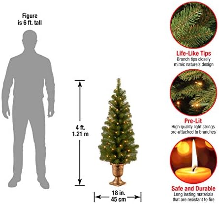Национална компанија за дрво пред осветлување вештачко дрво за влезови и Божиќ | Вклучува бели светла пред строги | Монтлер Спрус - 4 стапки, црно/злато