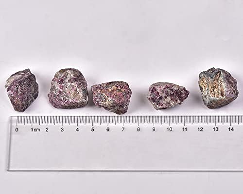 Амојстон Природни груби камења Пинк Турмалин Минерален спецификација суров камен 14-18 парчиња за заздравување, украси за дома, накит DIY,