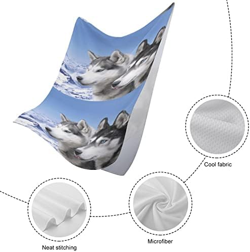 Сибирски Huskies Брзи суви крпи за миење садови високо апсорбирани крпи на лицето лице за рачни крпи за бања бања хотел