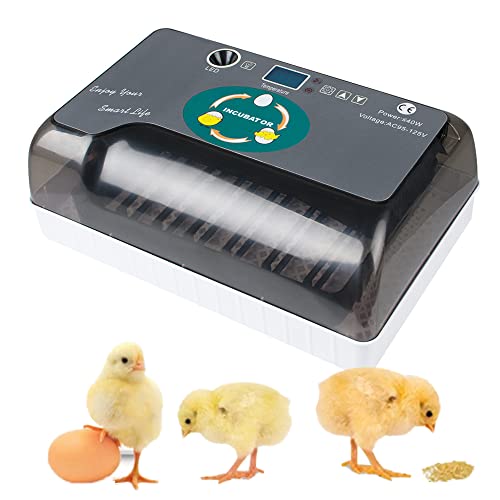 Автоматски Инкубатор За Јајца 12 Јајца Фарма Живина Јајца Машина За Шрафирање Дигитални Кокошки За Автоматско Вртење Патки Птици Од Гуска