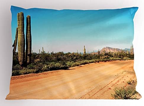 Амбесон Сагуаро перница срам, Земјината патека со гигантски кактус растенија до јужноамериканската пустинска кактус слика, декоративна
