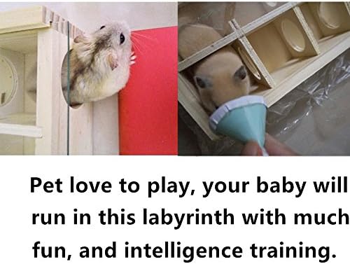 Hypeety дрвен лавиринт тунел играчка со стаклена покривка, мали миленичиња животни активност спорт гербил лавиринт џуџести хрчак игра играчки