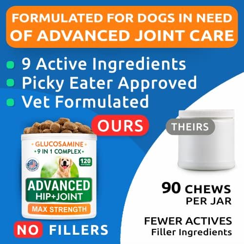 Висок напреден глукозамин + глукозамин кучиња третира пакет - Олеснување на болка во зглобот на кучиња + нега на колкот и зглобот - Напредна