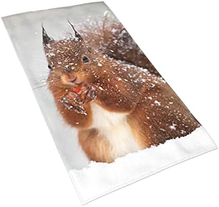 Pmftryuer Симпатична верверица во снежни мијалници - 27,5 x 16 инчи - брзо сушење - ултра мека високо апсорбирана облека за миење