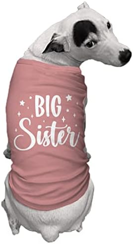 Голема сестра - Постара кошула за кучиња за браќа и сестри