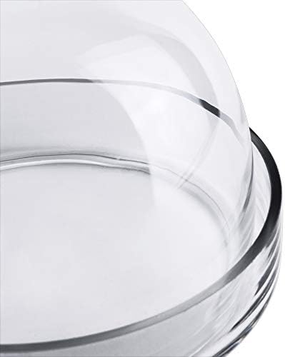 CYS EXCEL Bell Dome Cloche Со Стаклена Основа | Избор Со Повеќе Големини Дисплеј За Десерт За Торта | Покривка За Растенија Од Терариумска Тегла