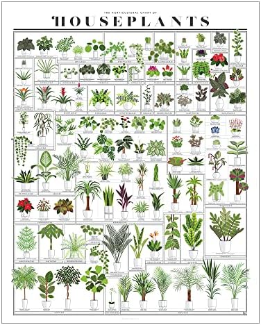 Поп -табела | Хортикултурна табела на куќишта | 16 x 20 Зелен wallиден уметност | Ботаничка уметност постер од над 100 растенија