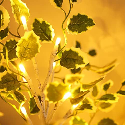 3 пакувања осветлено дрво од бреза, 2ft 24 LED Божиќни украси во затворен простор, 2022 модел за надградба на модел на пари