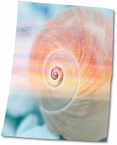 3Drose Pink и Blue Snail Shell Photoadaption - крпи