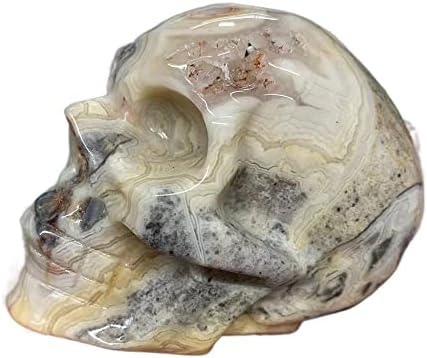 Телони природен луд агат череп коска дух Медитација камен волшебство череп камен фенг шуи кристал домашна енергија