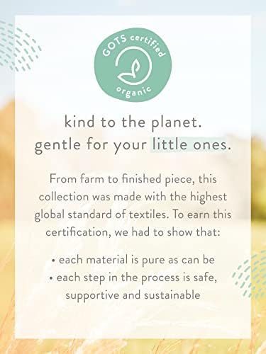 Малата Планета Од Бебето На Картер 3-Пакувајте Органски Памучни Ребра Без Ракави Боди