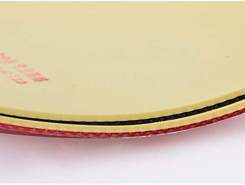 729 RITC Пријателство Скај-крило пипс-во табела тенис гума со сунѓер