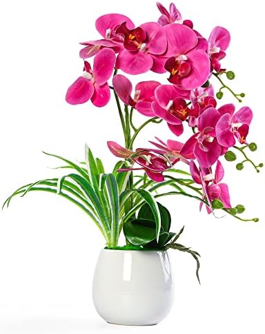 Вештачки орхидеи растенија W&W со вазна, лажна факс орхидеја во керамички тенџере, 19 “, Фуксија