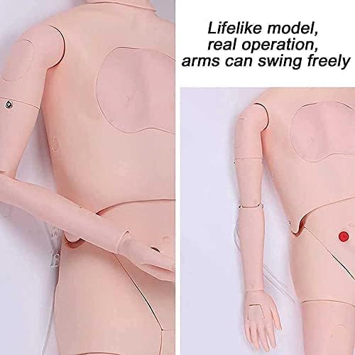 5,7ft животна големина на пациентот маникин машки и женски заменлив тренинг CPR симулатор модел на медицински сестри за медицинска сестра за настава